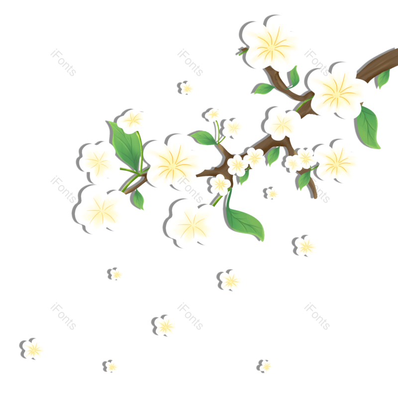 花朵图片,小花元素,白色花瓣PNG,春天免抠素材